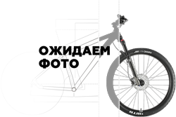 Велосипед Forward Iris 20 (2018)